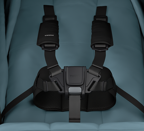 Thule Magnetic TUG