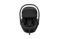 Thule Maple Black